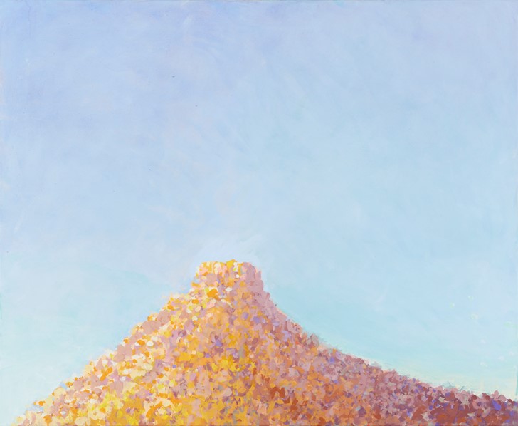 George Haynes, Cooya Pooya 2, 2023, oil on canvas, 96.5 x 117cm