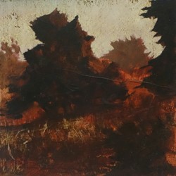 Merrick Belyea, Bellarine Trees 1, oil on board, 30 x 30cm