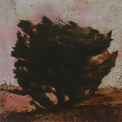 Merrick Belyea, Bellarine Trees 2, oil on board, 30 x 30cm
