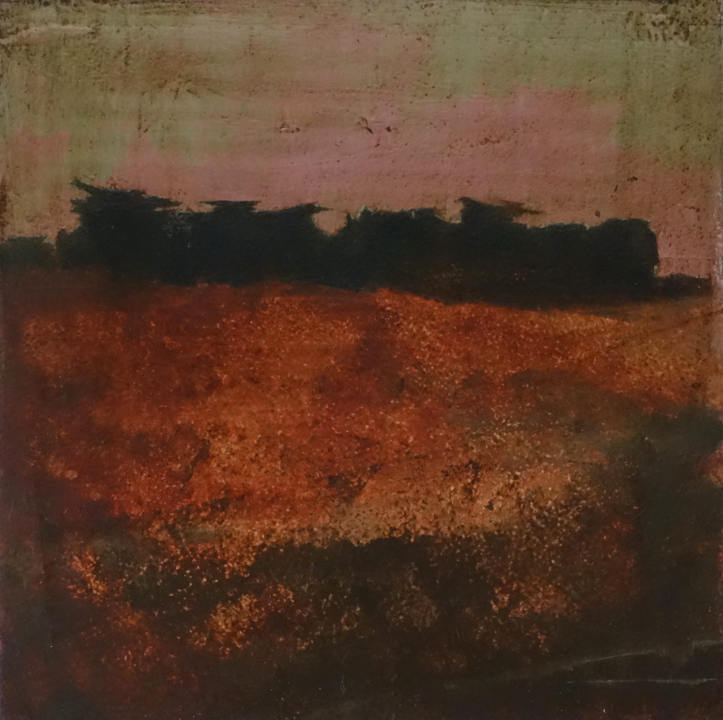 Merrick Belyea, Bellarine Trees 4, oil on board, 30 x 30cm