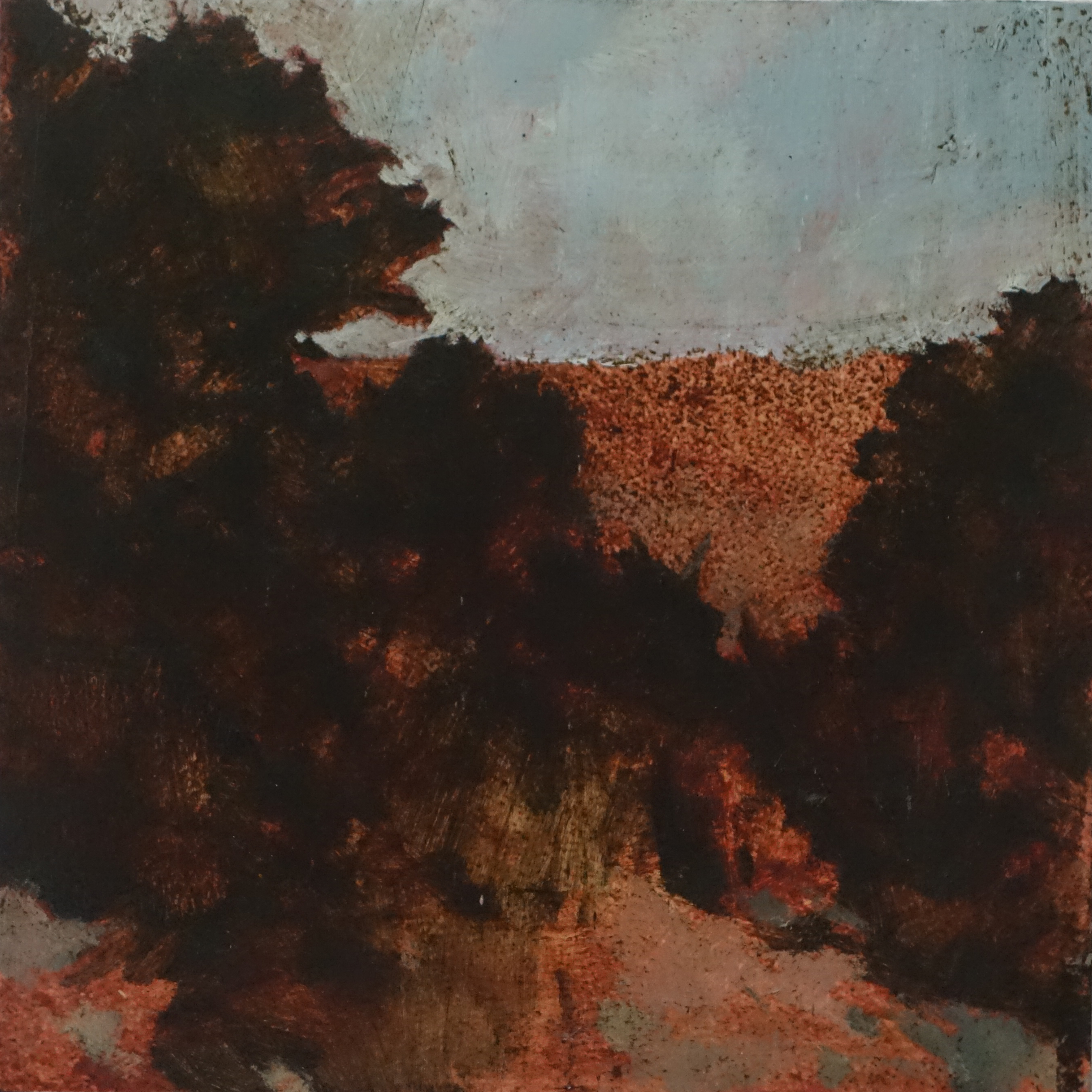 Merrick Belyea, Bellarine Trees 6, oil on board, 30 x 30cm