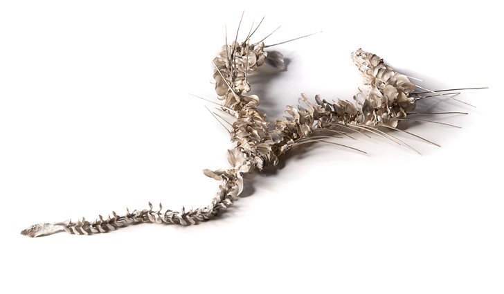 Sarah Elson, Lament of the Labellum – Anaphora Continued, 2018