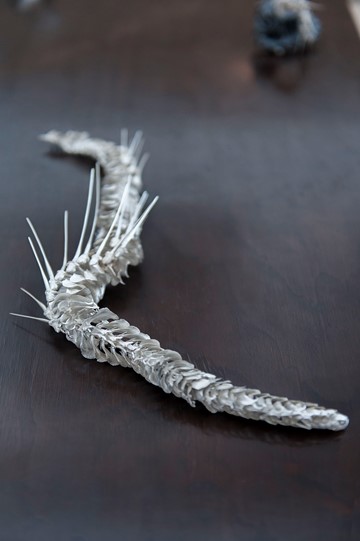 Sarah Elson, Lament of the Labellum – Anaphora 1, 2017, recycled silver