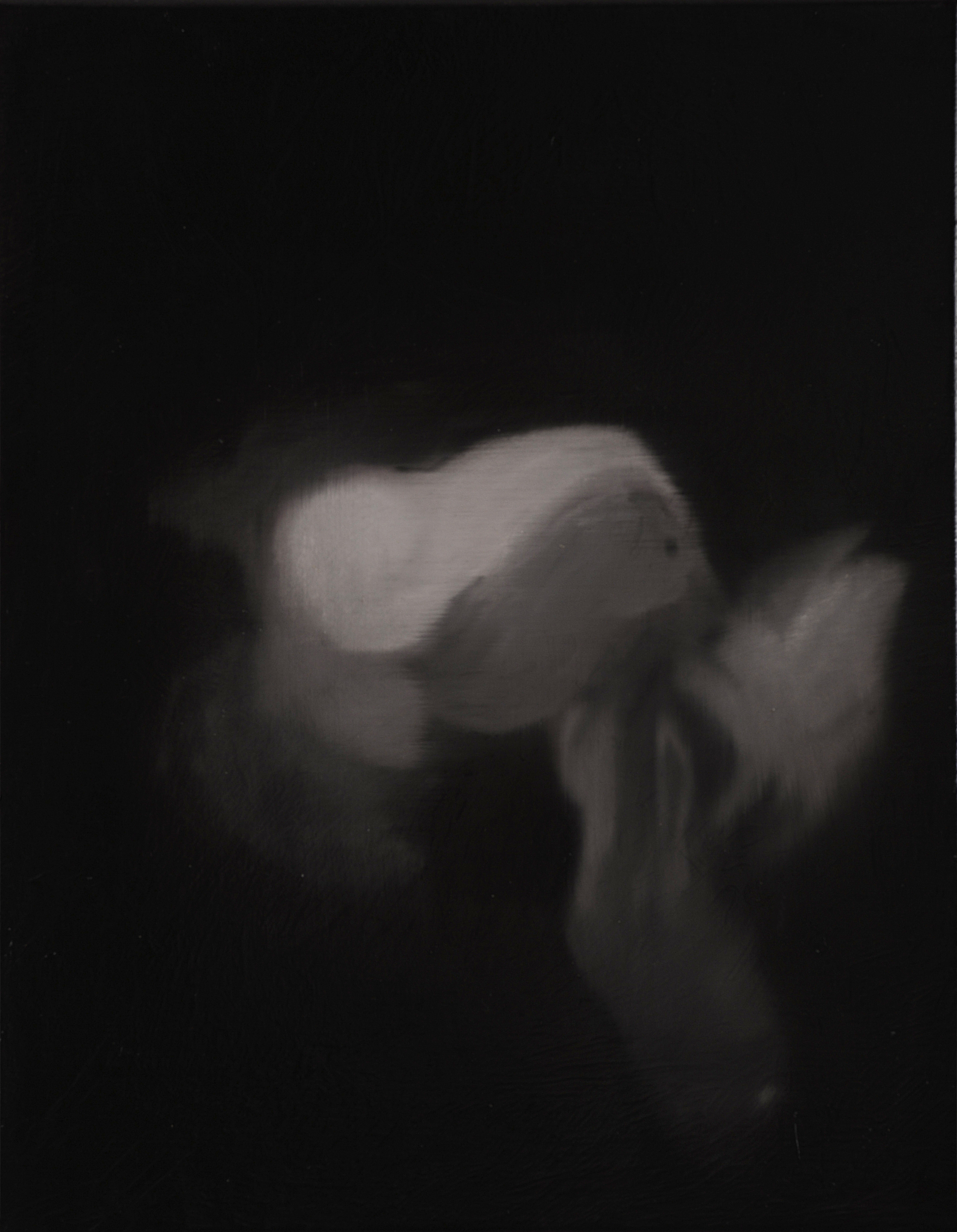 Paul Uhlmann, Reverberations IX, 2017, oil on canvas, 46 x 36cm