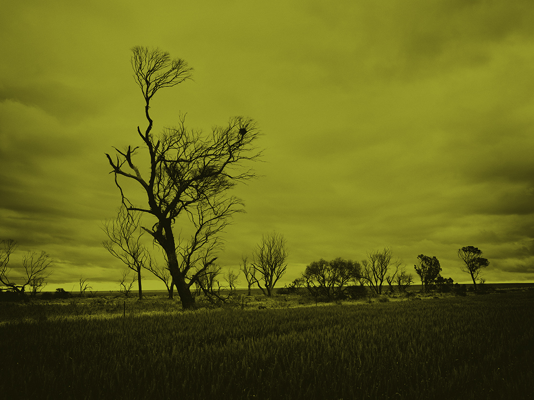 Brad Rimmer, Crows Nest 5 Cowcowing, 2017, archival inkjet photograph, 100 x 134cm, ed. 3