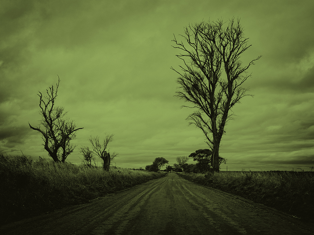 Brad Rimmer, Crows Nest 2 Koorda, 2017, archival inkjet photograph, 100 x 134cm, ed. 3