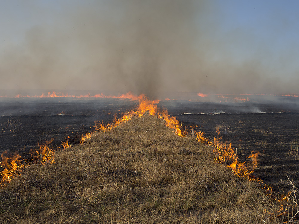 Brad Rimmer, The Burn 6, 2017, archival inkjet photograph, 60 x 80cm, ed. 3