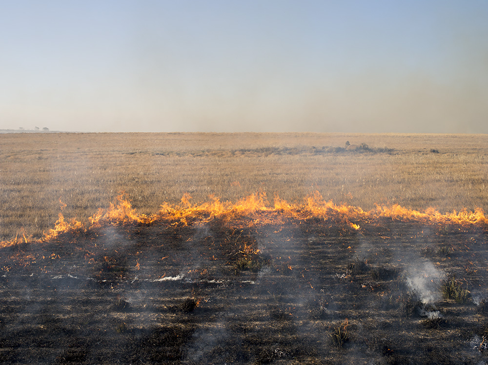 Brad Rimmer, The Burn 2, 2017, archival inkjet photograph, 60 x 80cm, ed. 3