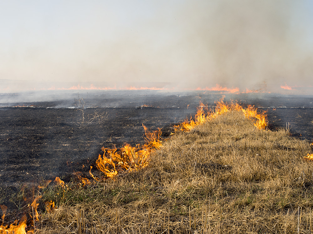 Brad Rimmer, The Burn 1, 2017, archival inkjet photograph, 60 x 80cm, ed. 3