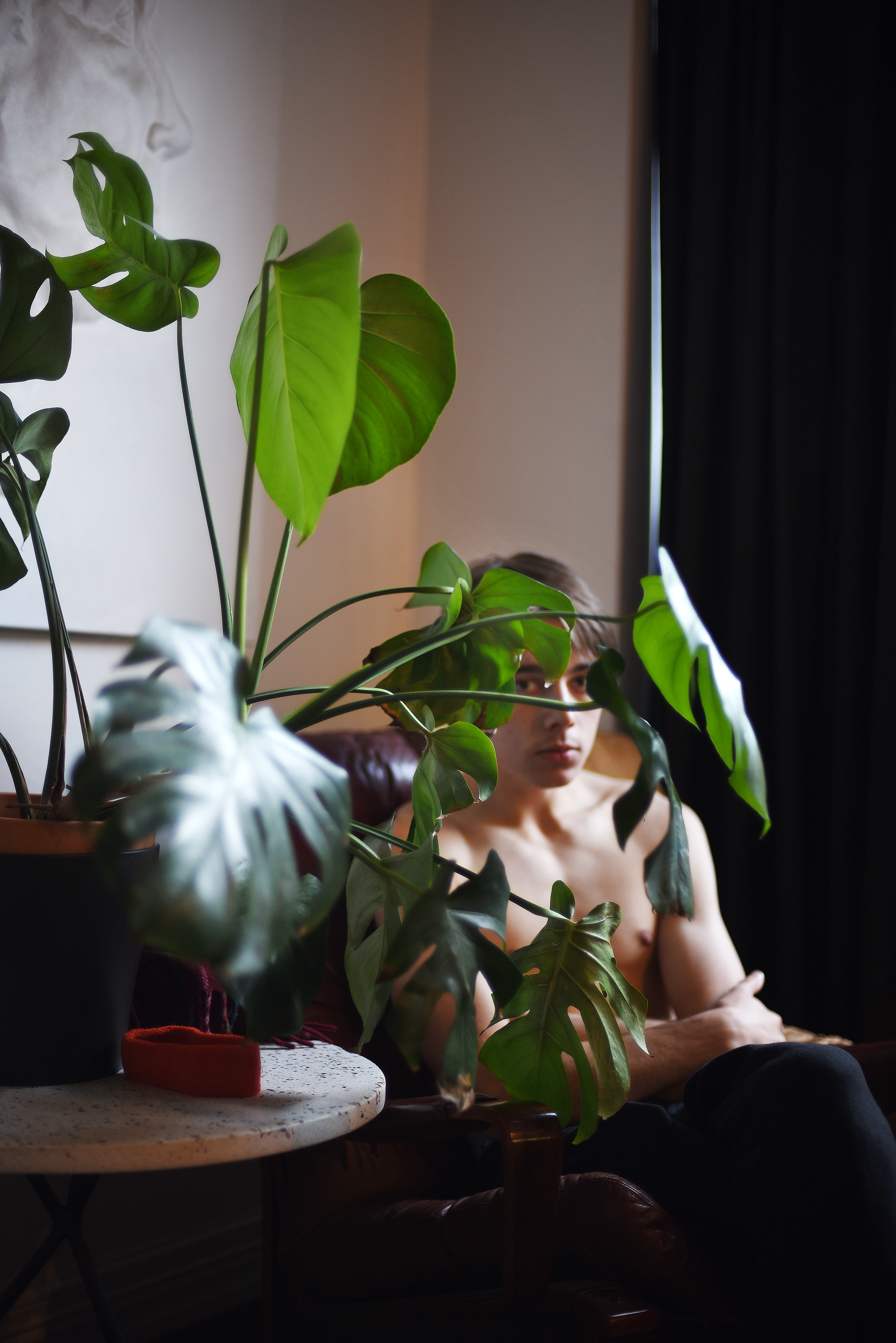 Toni Wilkinson, Monstera Deliciosa, 2018, Canson photographique archival digital print, 105 x 70cm, ed. 5