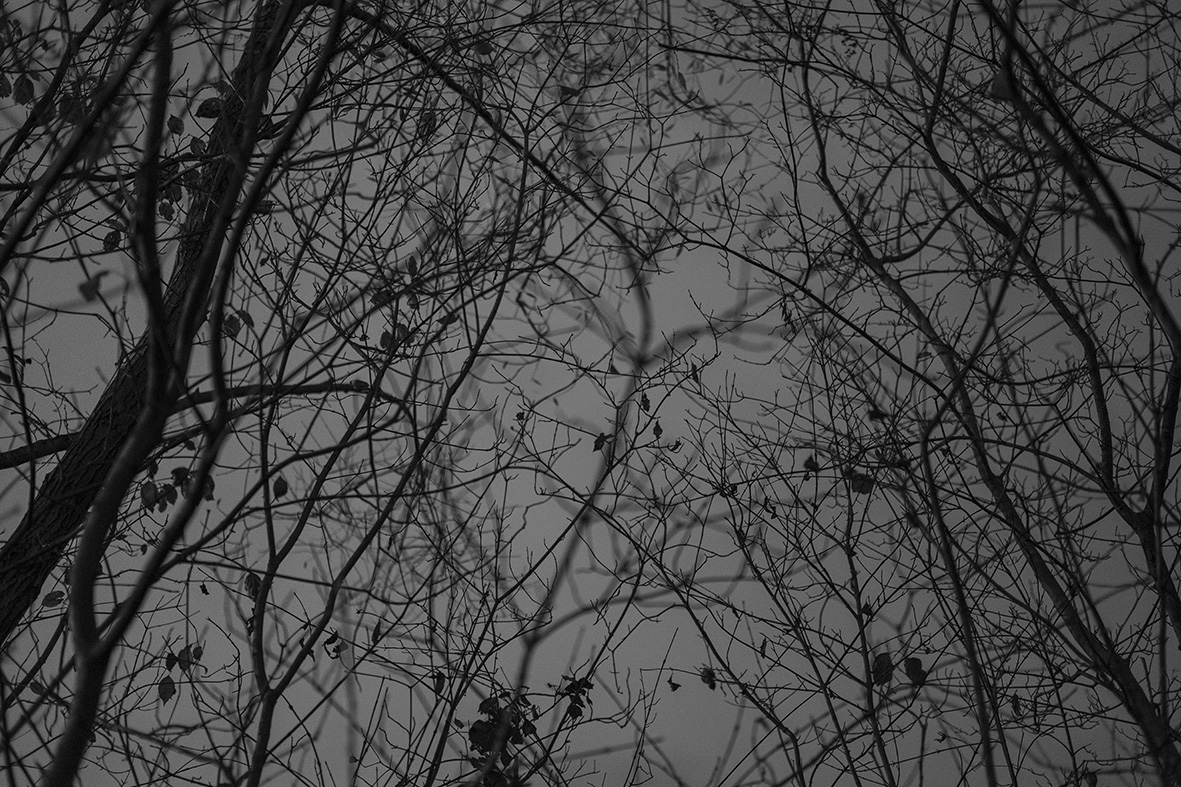 Brad Rimmer, Nocturne 13, 2017, archival pigment print, 50 x 75cm, ed. 3.jpg