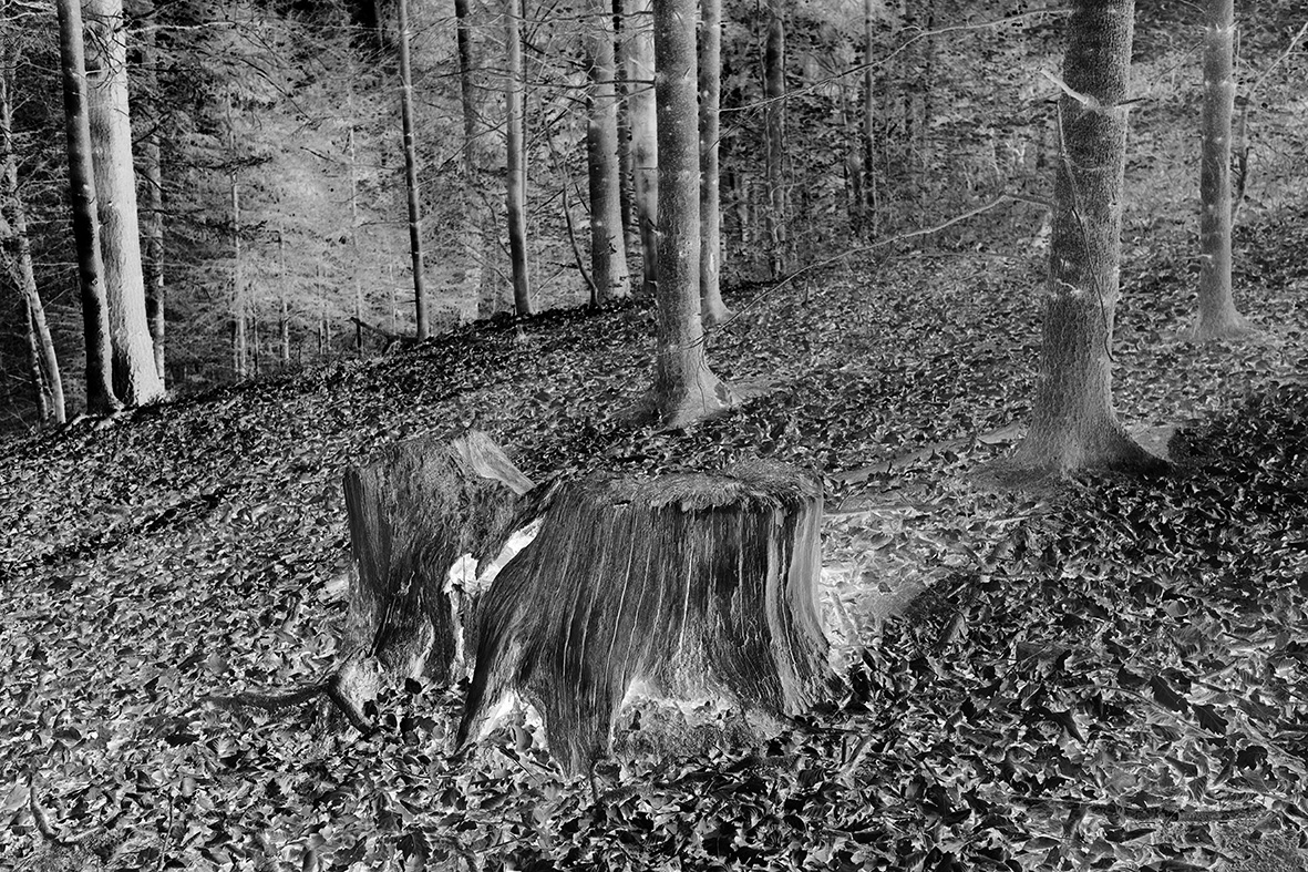 Brad Rimmer, Nocturne 25, 2017, archival pigment print, 50 x 75cm, ed. 3.jpg