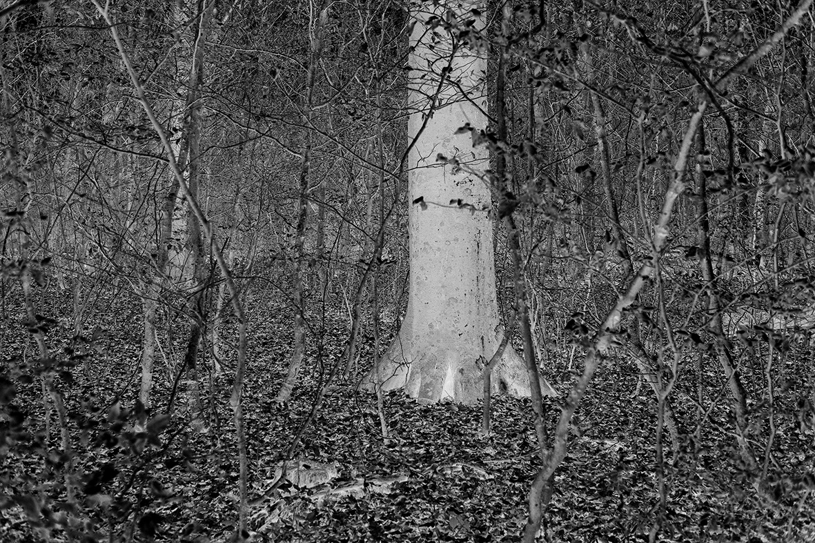 Brad Rimmer, Nocturne 35, 2017, archival pigment print, 50 x 75cm, ed. 3.jpg