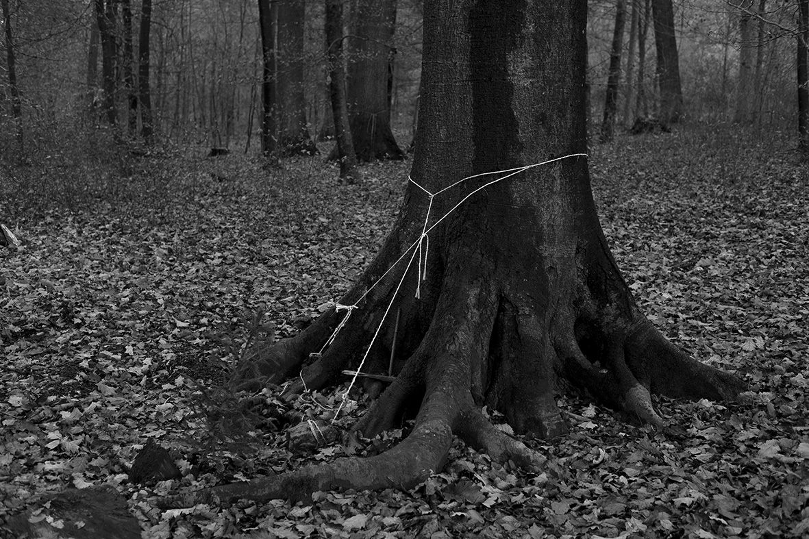 Brad Rimmer, Nocturne 44, 2017, archival pigment print, 50 x 75cm, ed. 3.jpg