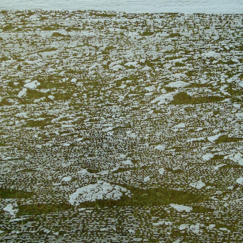Tony Windberg, Home Turf 4 (detail), 2018, ink under glass, synthetic turf, calcium carbonate and iron oxide, 59 x 172 x 4cm