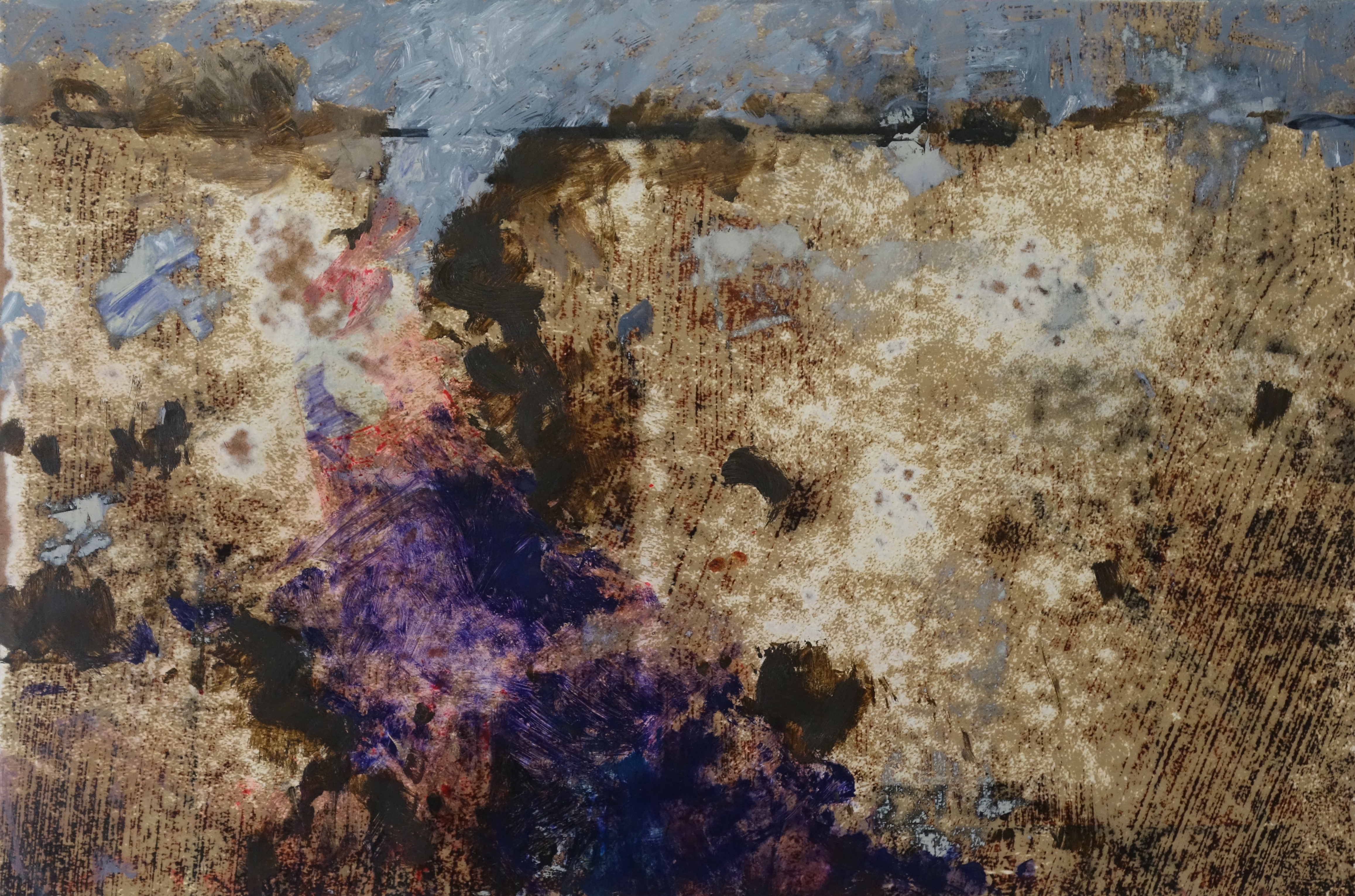 Merrick Belyea, Remnant Urban Landscape Guilderton, 2017, oil on board, 61 x 91cm