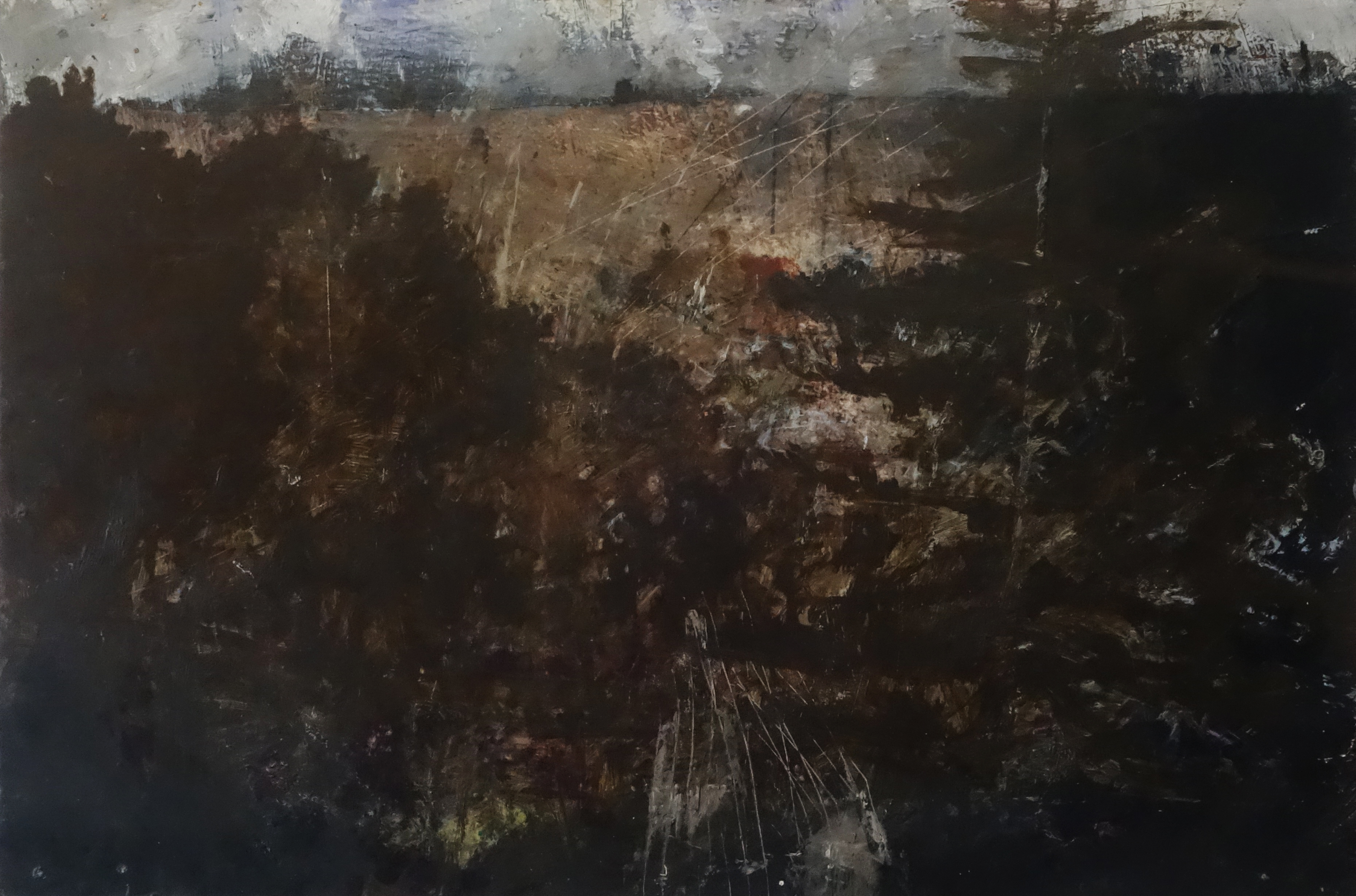 Merrick Belyea, Remnant Urban Landscape Beeliar, 2017, oil on board, 61 x 91cm