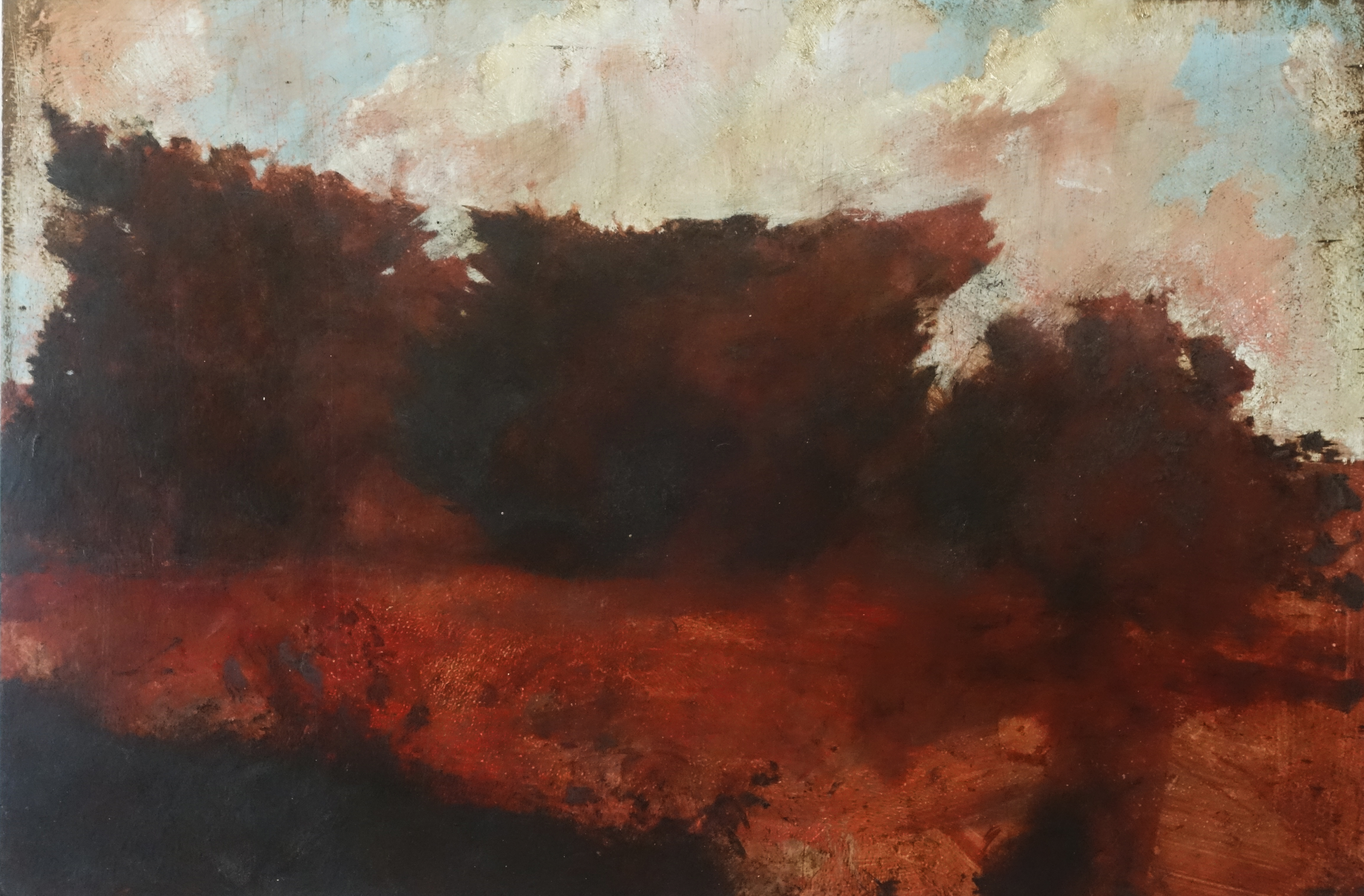 Merrick Belyea, Remnant Urban Landscape Geelong, 2017, oil on board, 61 x 91cm