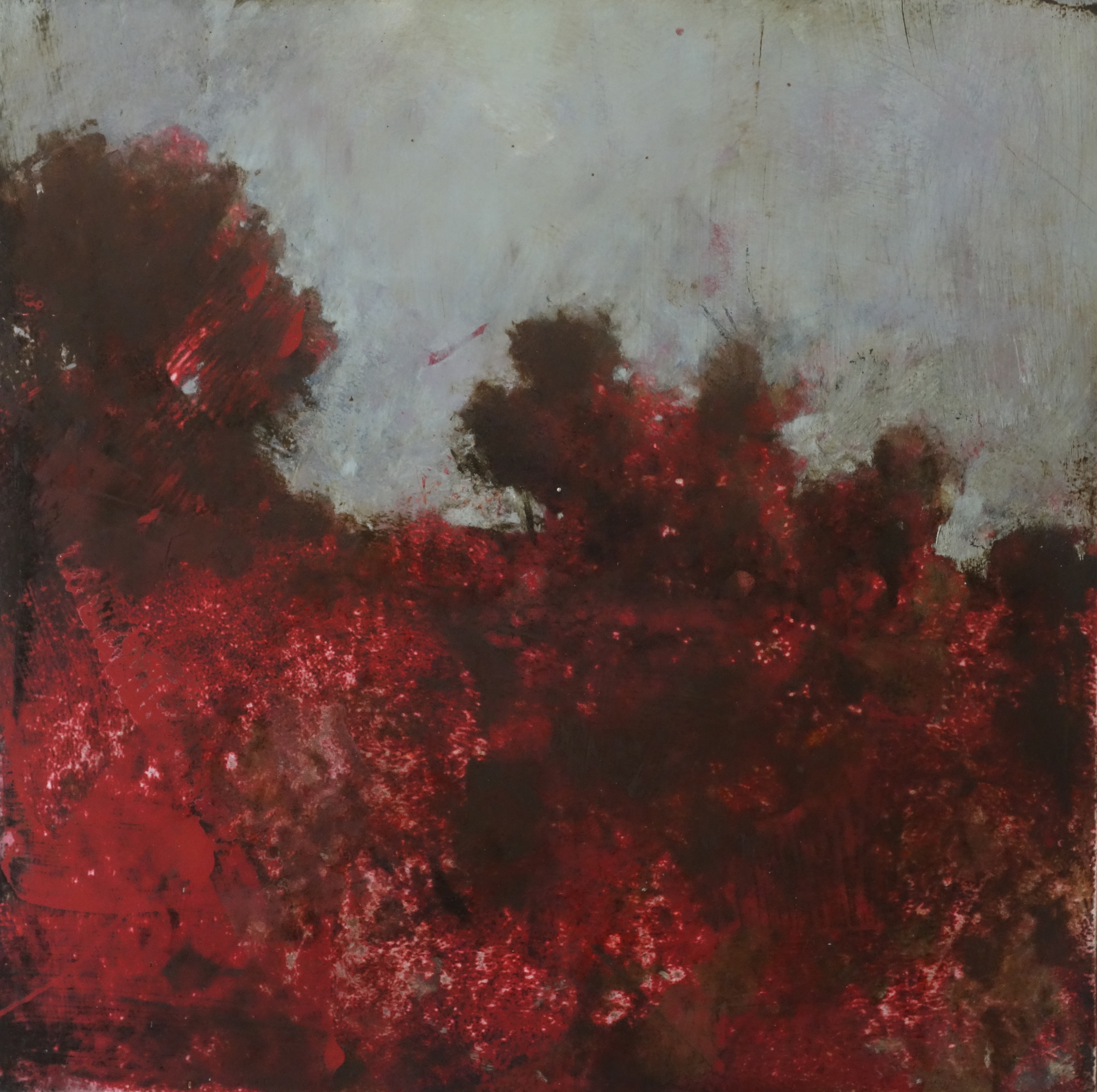 Merrick Belyea, Rottnest Landscape #3, 2016, oil on board, 61 x 61cm