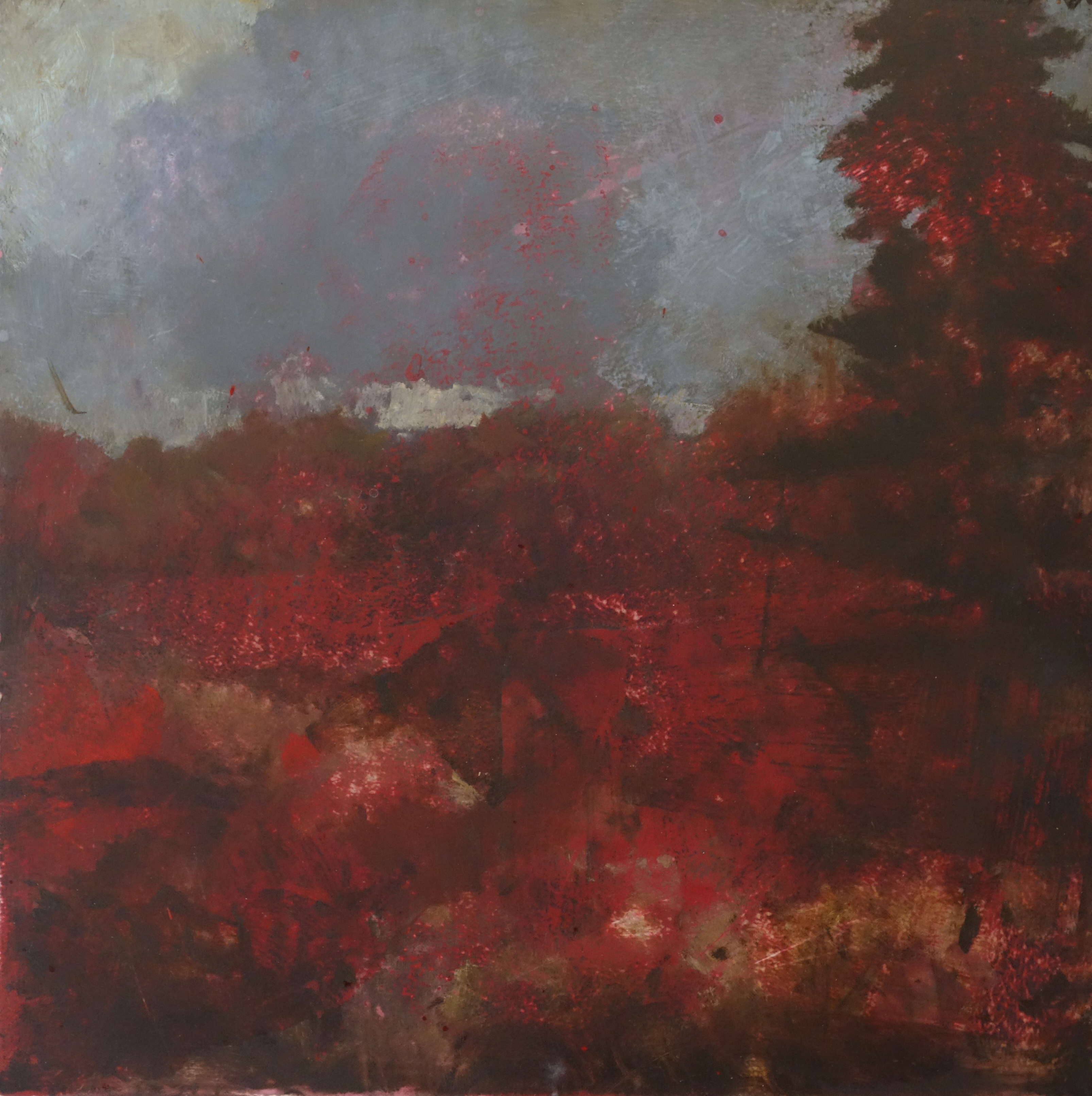 Merrick Belyea, Rottnest Landscape #5, 2016, oil on board, 61 x 61cm