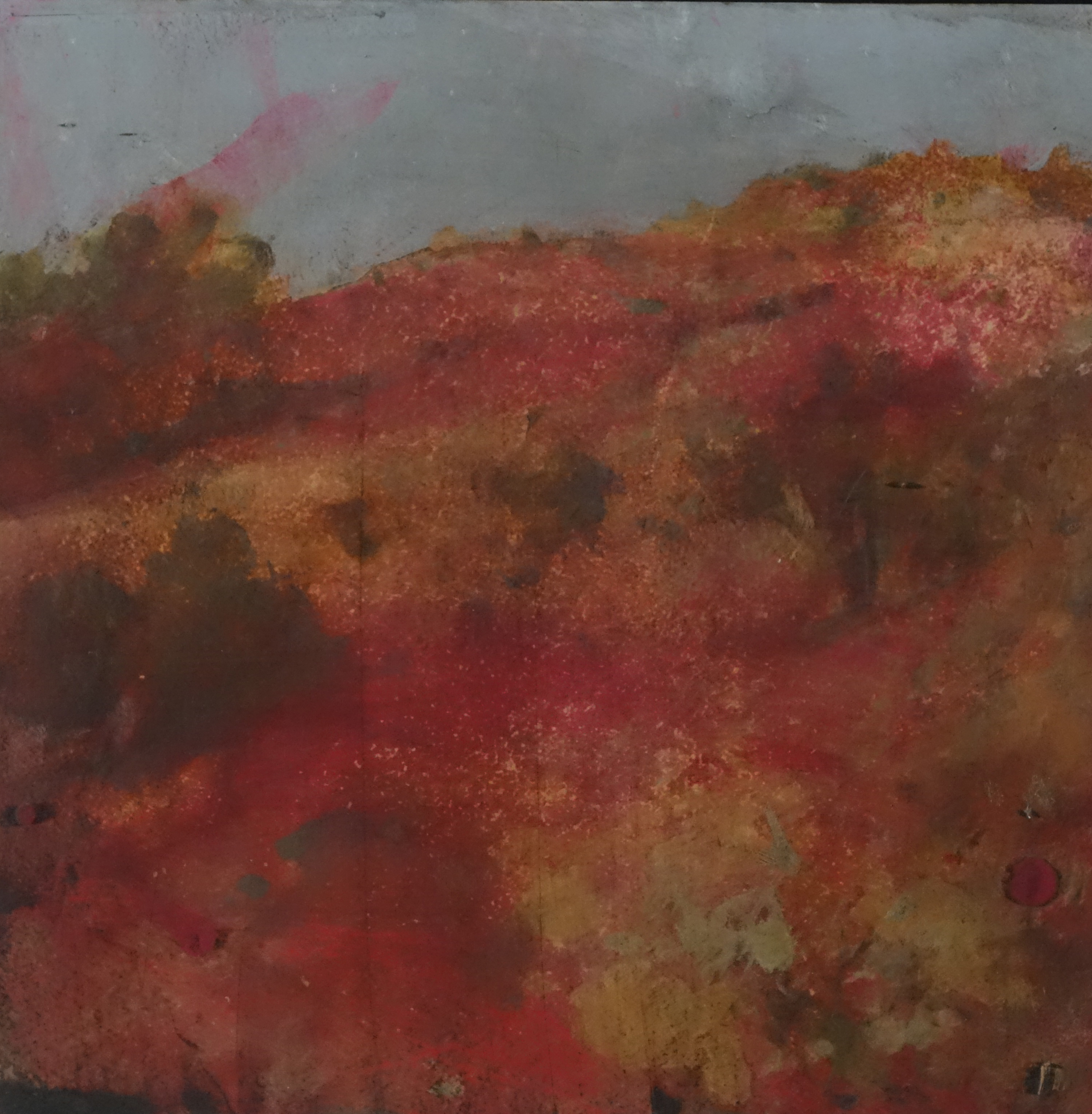 Merrick Belyea, Rottnest Landscape #6, 2015, oil on board, 40 x 40cm