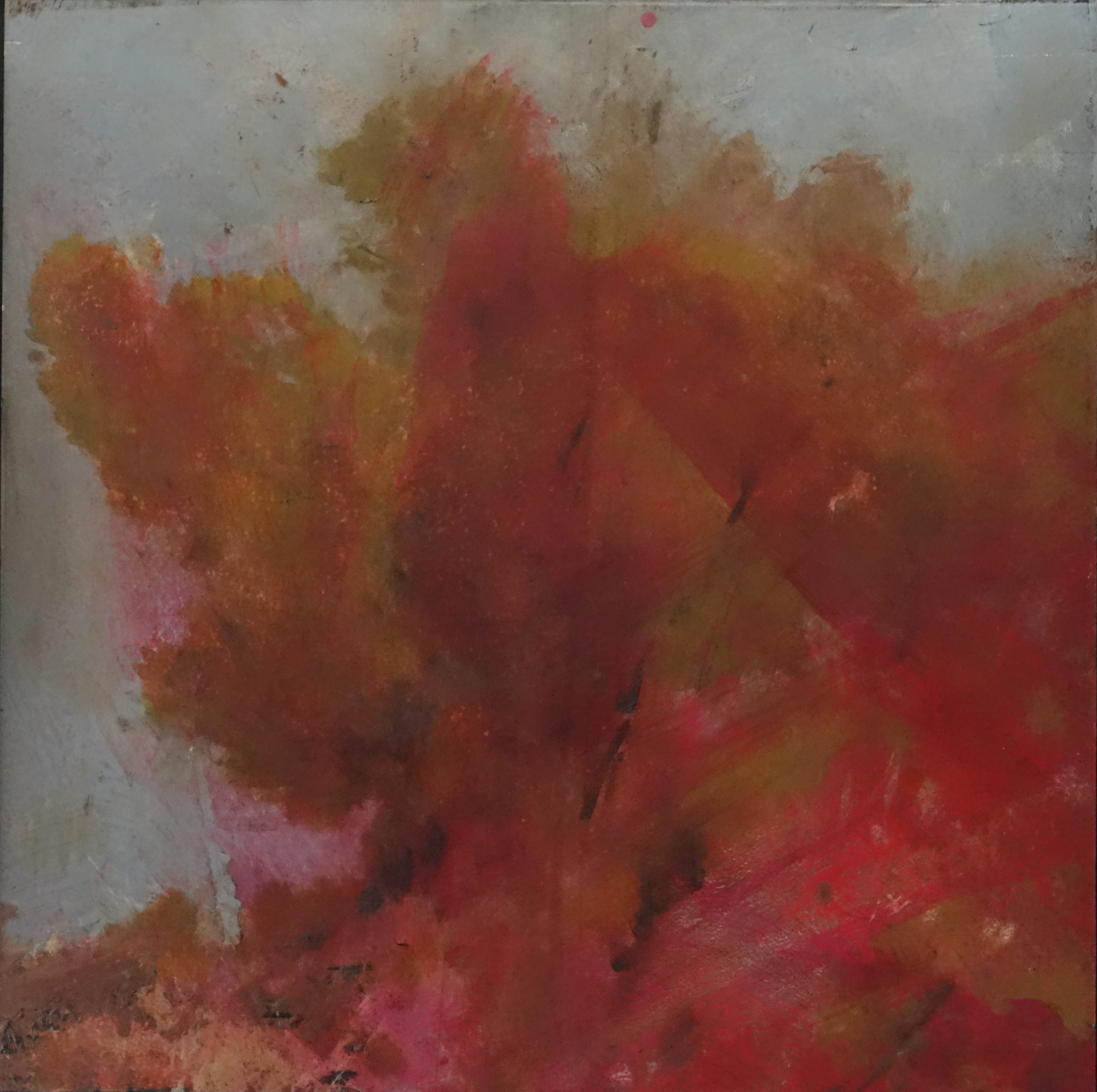 Merrick Belyea, Rottnest Landscape #9, 2015, oil on board, 40 x 40cm