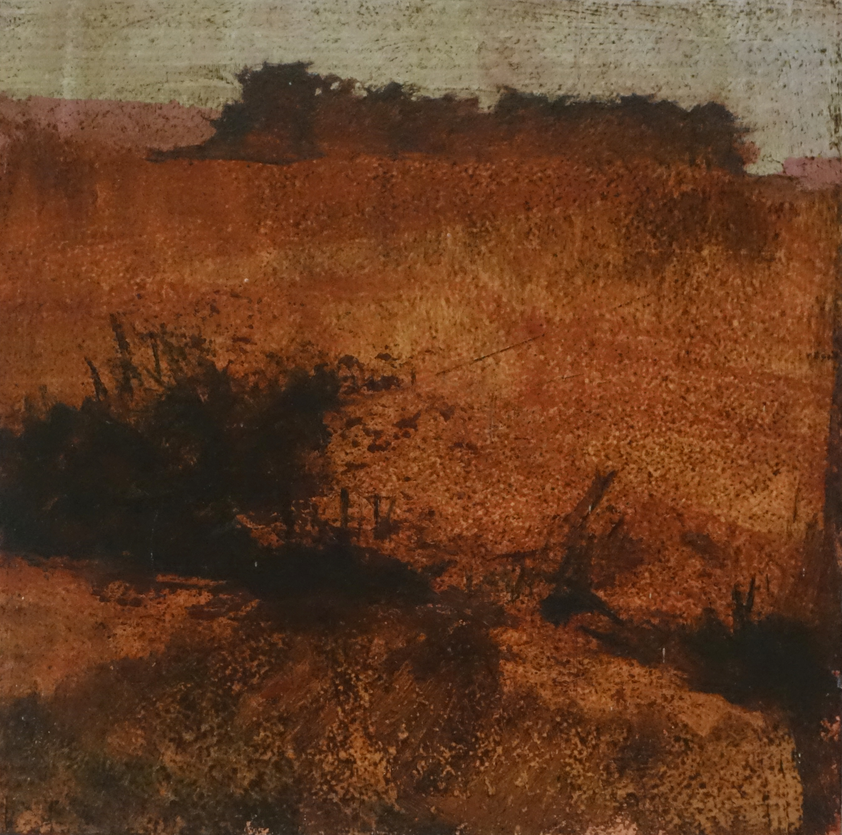 Merrick Belyea, Bellarine Trees #3, 2015, oil on board, 30 x 30cm