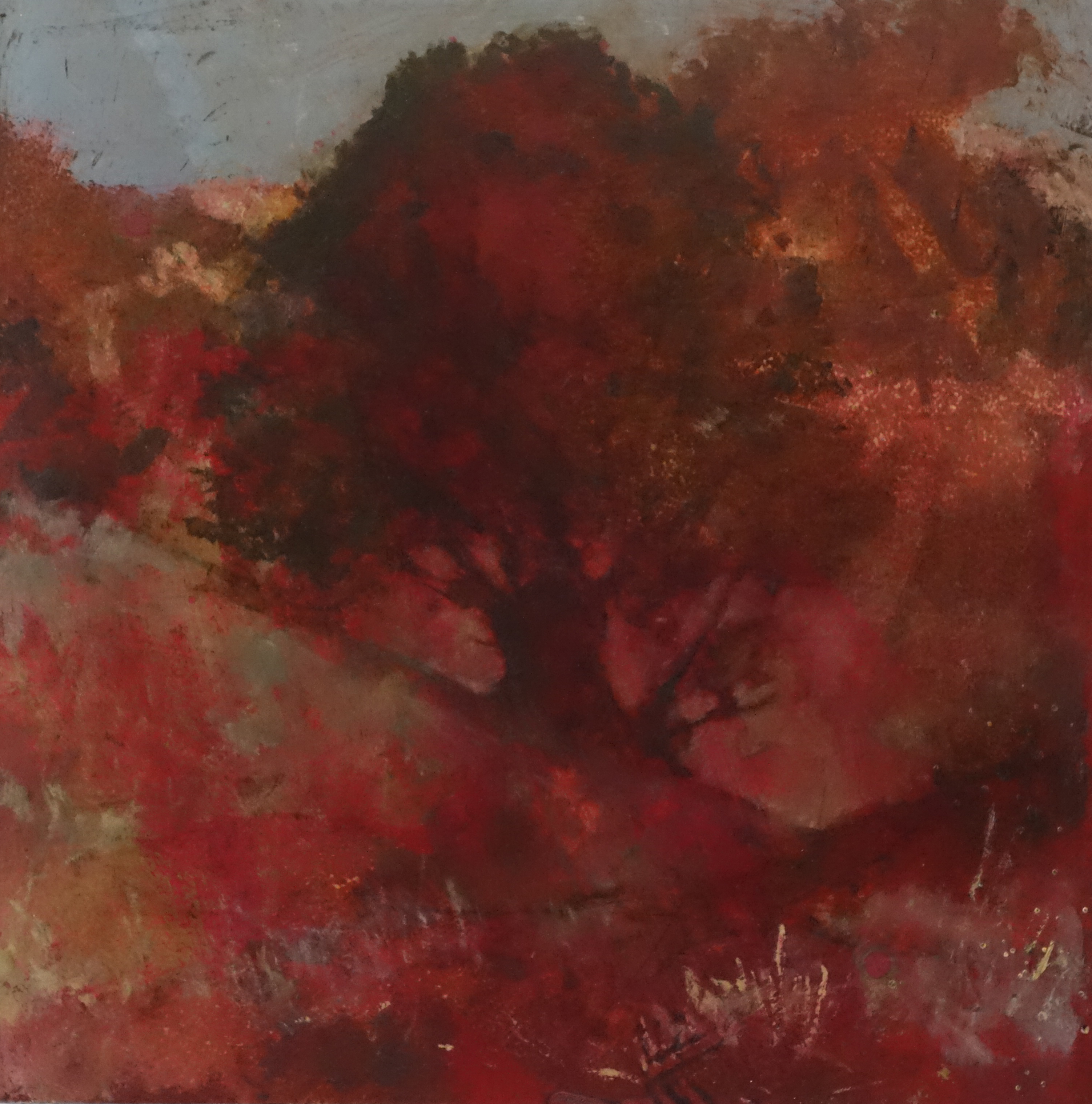 Merrick Belyea, Bellarine Landscape #2, 2015, oil on board, 40 x 40cm