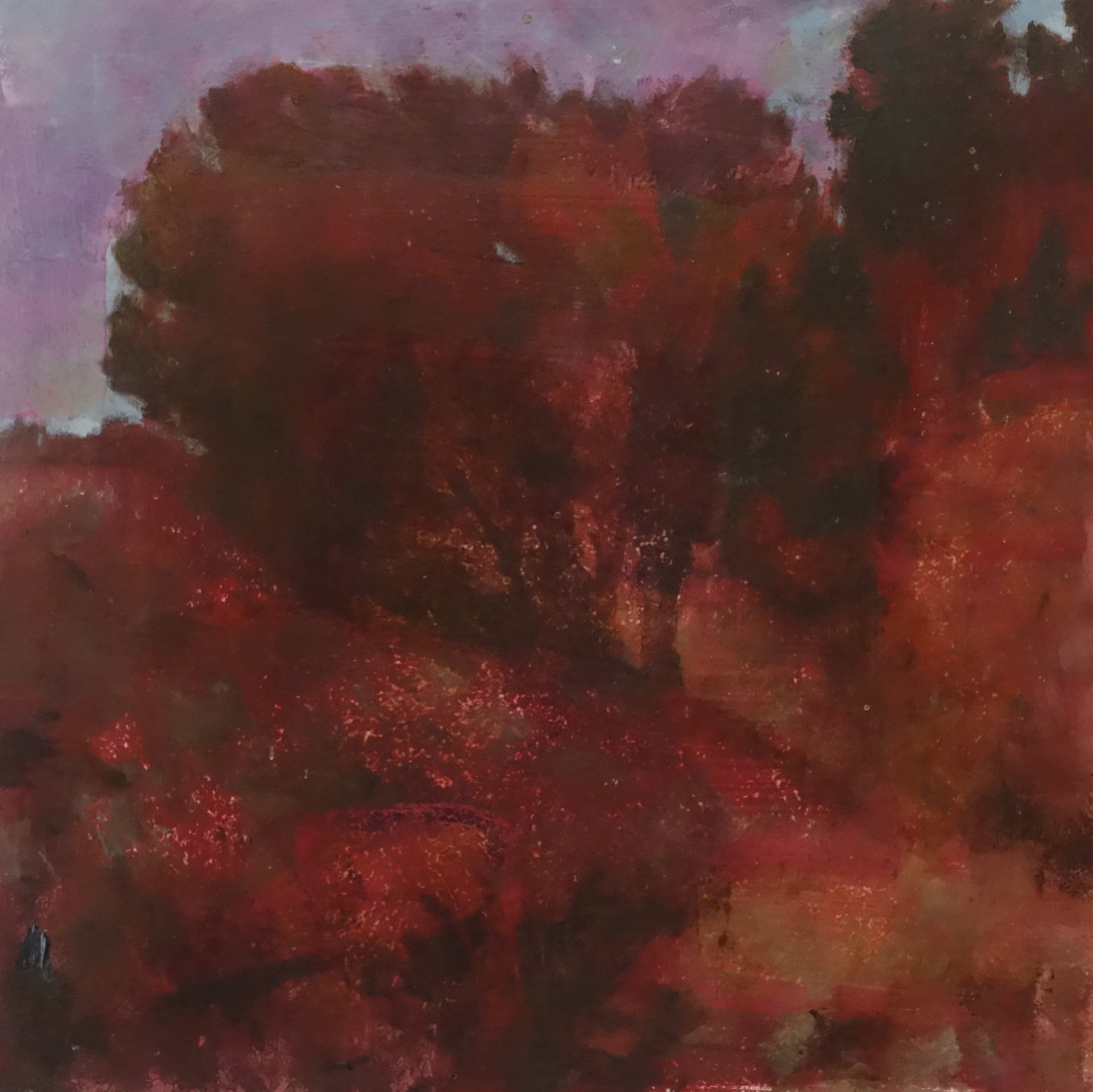 Merrick Belyea, Bellarine Landscape #4, 2015, oil on board, 40 x 40cm