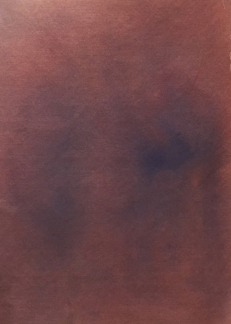 Penny Coss, Angophora Red, 2018, acrylic on canvas, 71 x 51cm