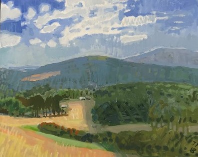 Jane Martin, Shadowed Paddock, 2018, oil on board, 40 x 50cm