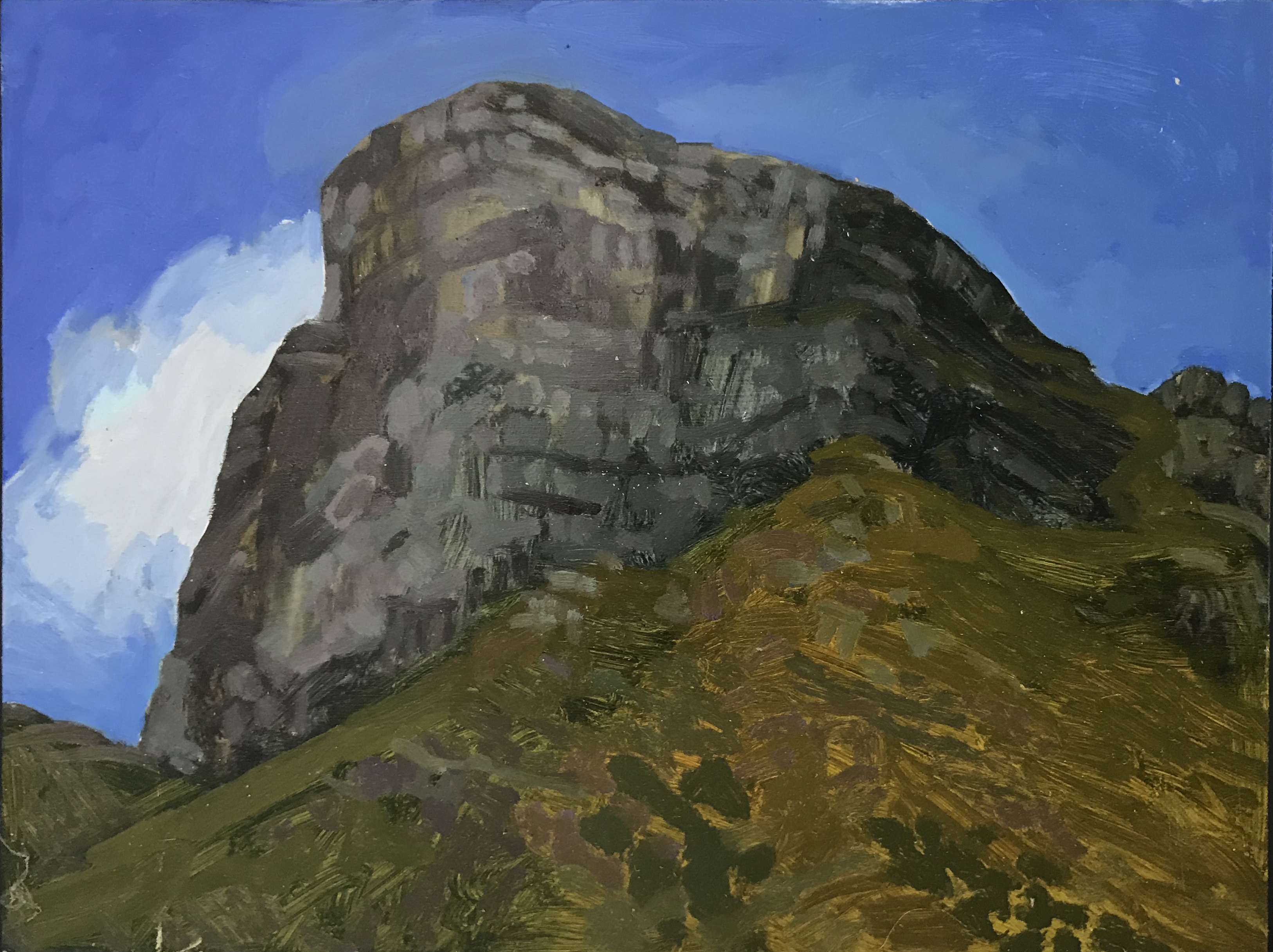 Jane Martin, Bluff Knoll, 2017, oil on board, 30 x 40cm