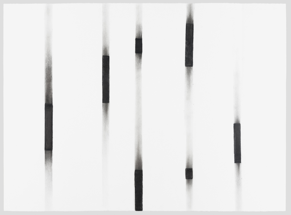 Rebecca Paterson, The Flesh of It, 2017, conte pastel on paper, 56 x 75cm