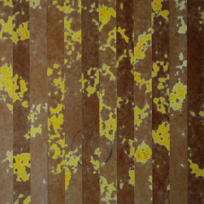 Merrick Belyea, Segment II, acrylic and oil on board, 55 x 55cm