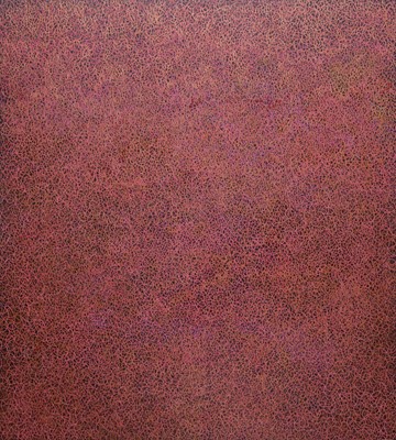 Michele Theunissen, I am because you are #4, 2016, acrylic, ground pigment, artists' ink on canvas, 153 x 137cm