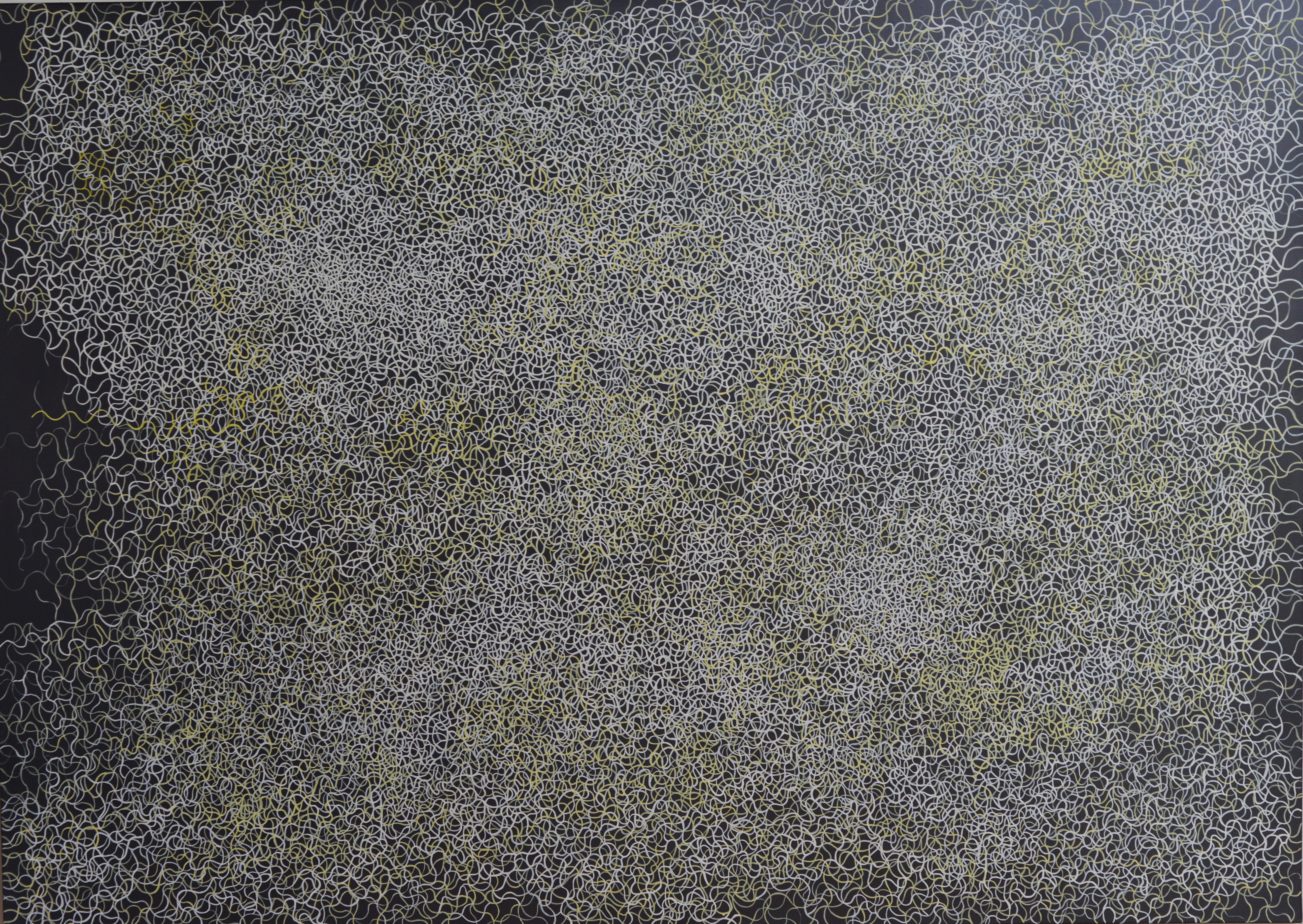 Michele Theunissne, Dispersion, 2016, acrylic, ground pigment, artists' ink on canvas, 152 213cm