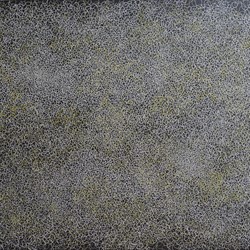 Michele Theunissne, Dispersion, 2016, acrylic, ground pigment, artists' ink on canvas, 152 213cm