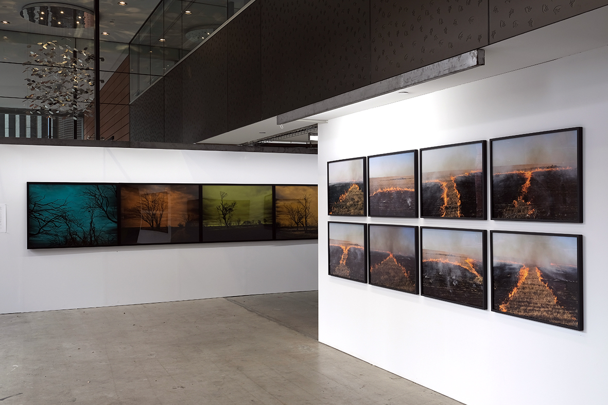 Brad Rimmer // Collective Conversations 2017