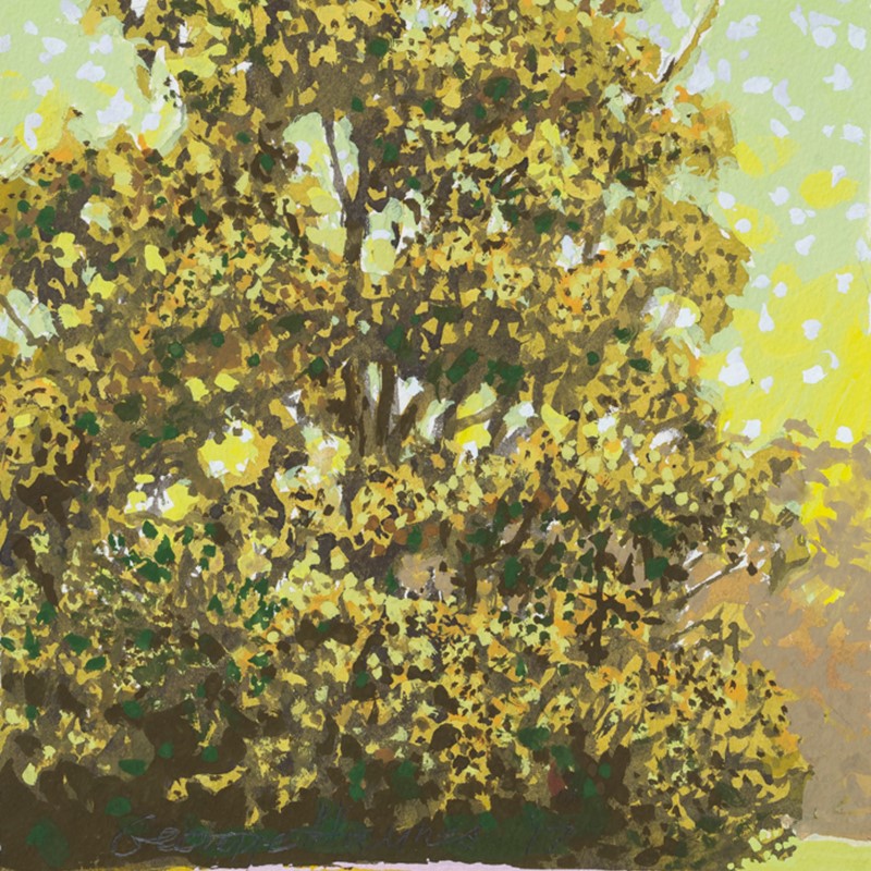 Marri Lowden 1, 2018, gouache on paper, 31 x 23cm