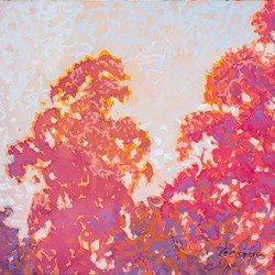 George Haynes, Morning Marri I, 2017, gouache on paper, 23 x 31cm