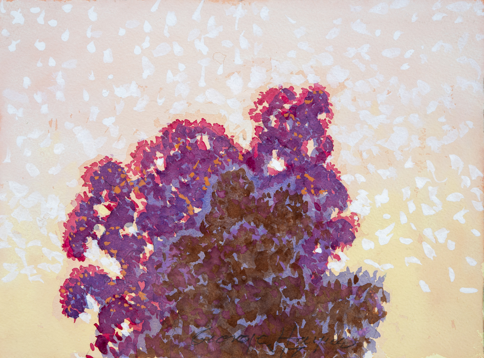 George Haynes, Morning Marri II, 2018, gouache on paper, 23 x 31cm