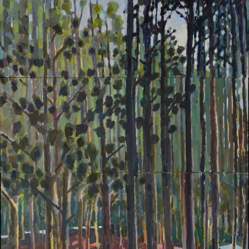 Donnelly River, 2016, oil on board, 94 x 82cm