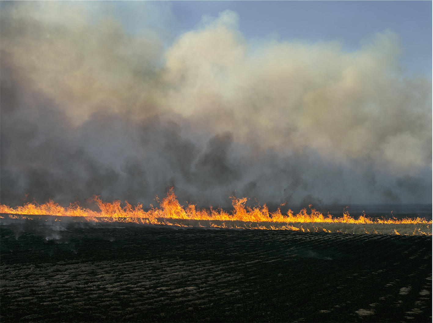 Brad Rimmer, Wyalkatchem Autumn 2014, photograph, 100 x 134cm
