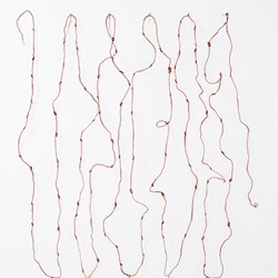 Holly Story, 100 days, 2016, hand-made plant fibre string, marri kino, wax, approx. 180 x 180cm