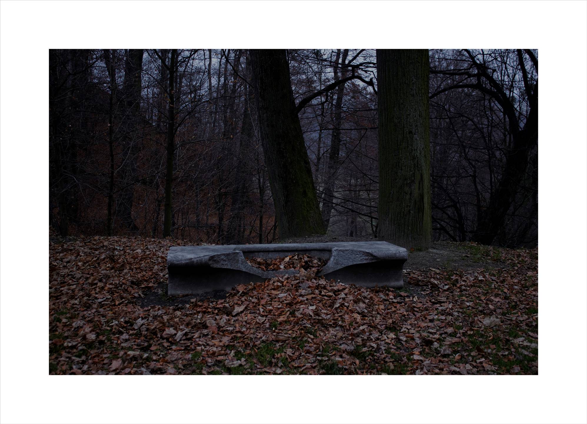 Olga Cironis, Into the Woods Alone 2, 2013, archival digital print, 104 x 72cm, ed. 4