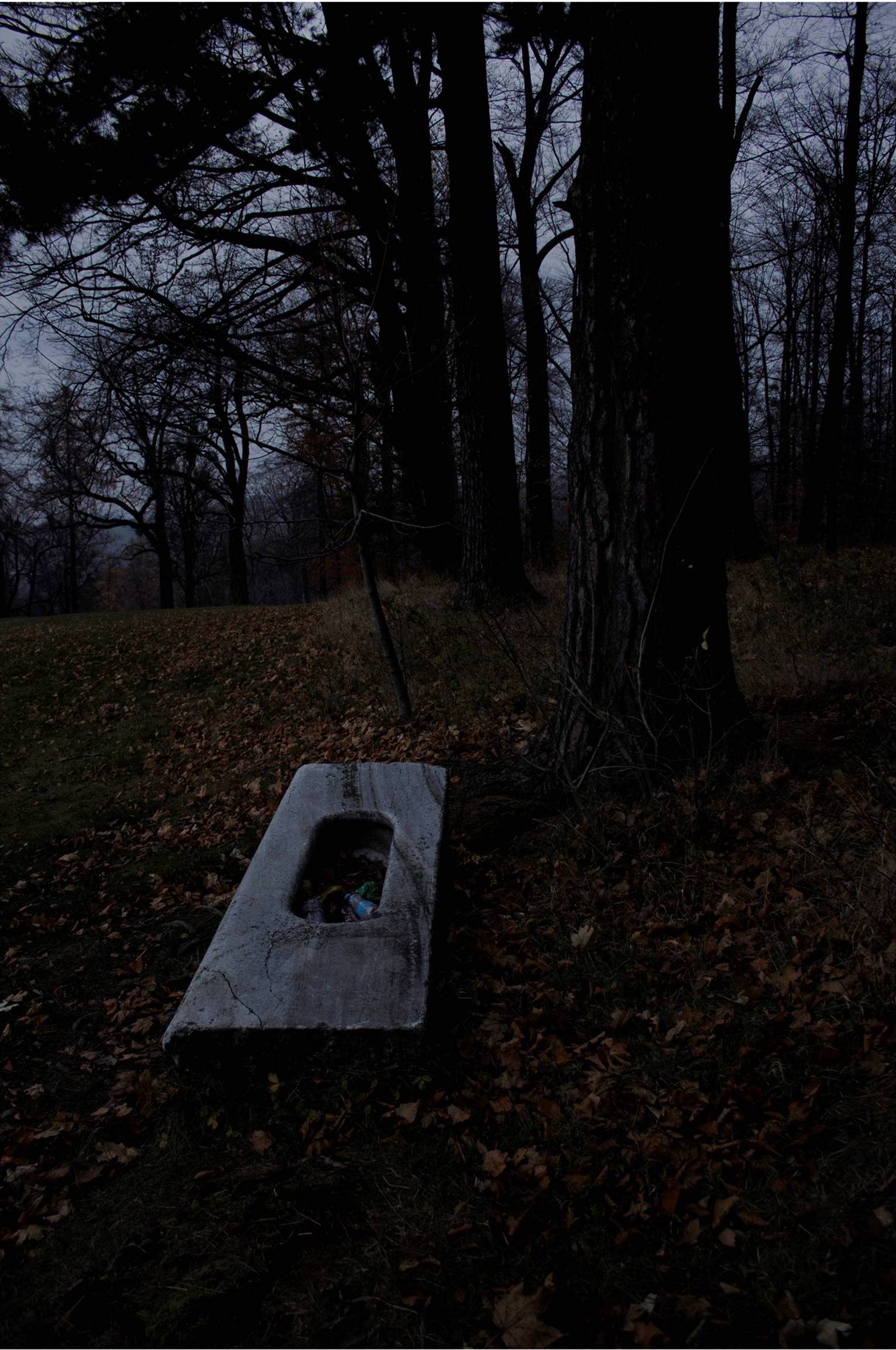 Olga Cironis, Into the Woods Alone 3, 2013, archival digital print, 104 x 72cm, ed. 4