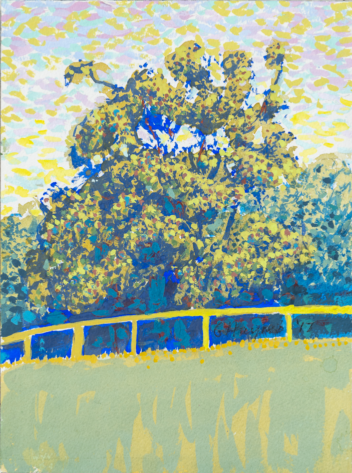 George Haynes, Marri, Lowden II, 2017, gouache on paper, 31 x 23cm.jpg