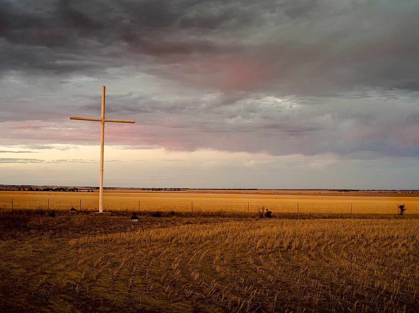 Brad Rimmer, Nungarin Rd Paddock #1 Summer 2014, photograph, 100 x 134cm, ed. 3