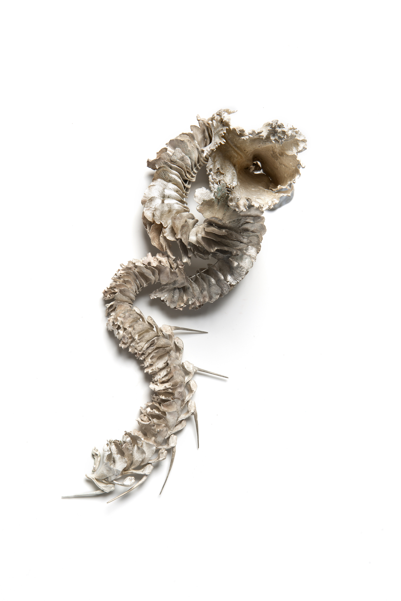 Sarah Elson, Lament of the Labellum - Final Flower, 2016-2019, recycled silver, 35 x 17 x 7cm