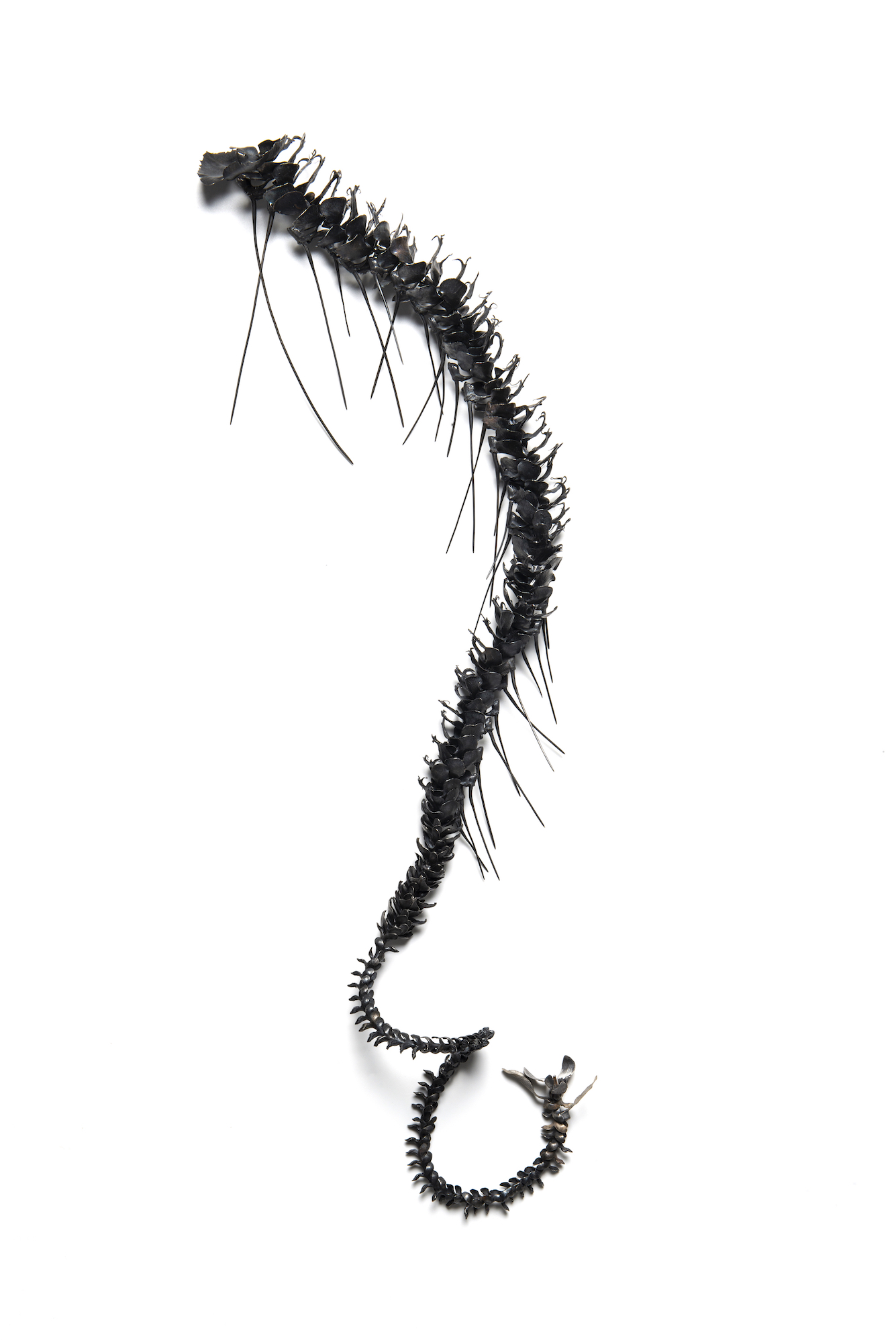 Sarah Elson, Lament of the Labellum - Cusp, 2016-2019, recycled silver, 73 x 21 x 8cm